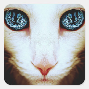 uitheemse kattengezicht - stickers