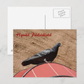 Uitkijkduif Happy Easter briefkaart (Voorkant / Achterkant)