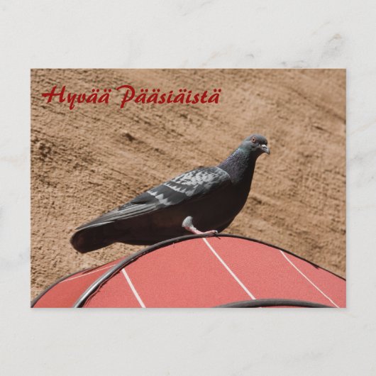 Uitkijkduif Happy Easter briefkaart (Voorkant)