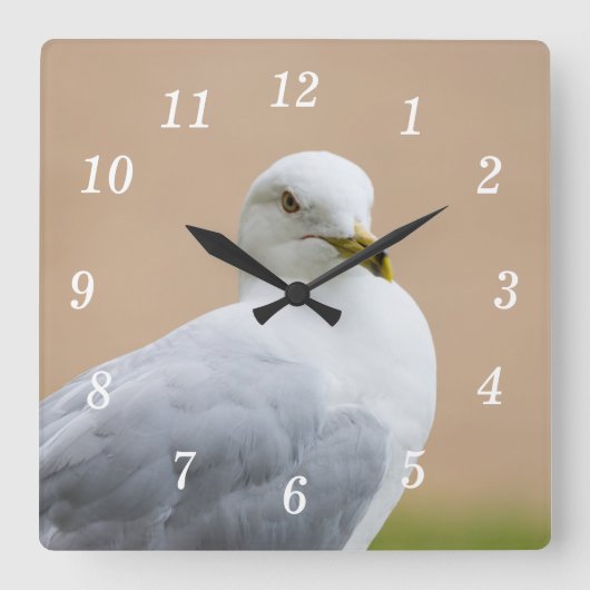 Uitkijkend Wandklok (Voorkant)