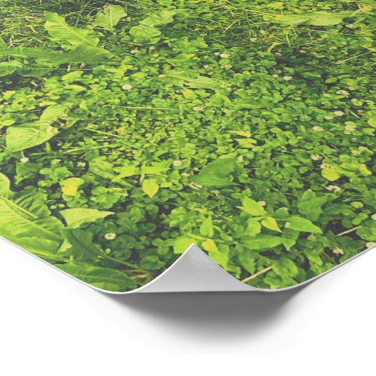 uitkomen poster (Hoek)