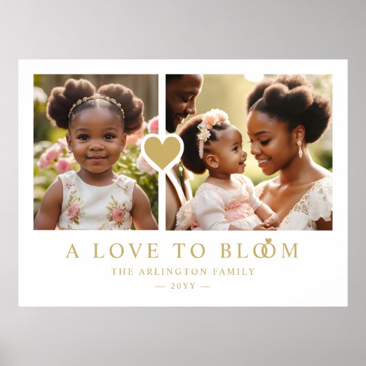 Uitmuntend Romantisch Gouden Hart 2 Foto's Familie Poster (Voorkant)