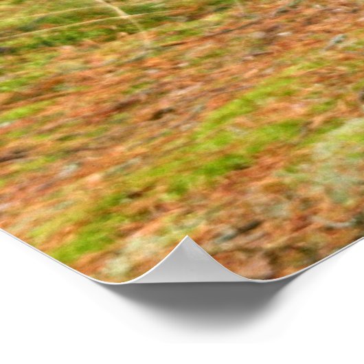 Uitmuntendheid Poster (Hoek)