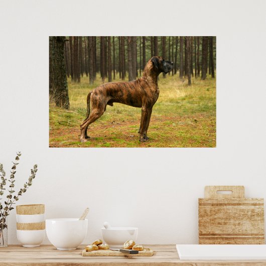 Uitmuntendheid Poster (Keuken)