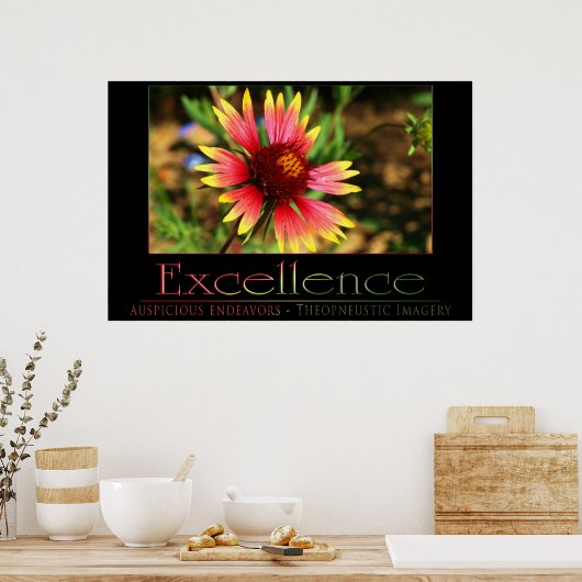 Uitmuntendheid Poster (Keuken)