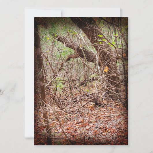 Uitnodiging (Achterkant)