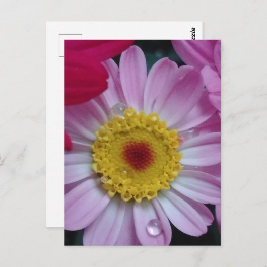 Uitnodiging (Voorkant / Achterkant)