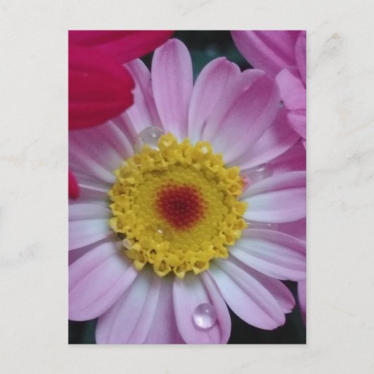 Uitnodiging (Voorkant)