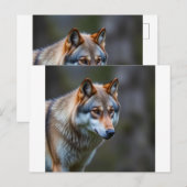 Uitnodiging & Aankondiging  (Voorkant / Achterkant)