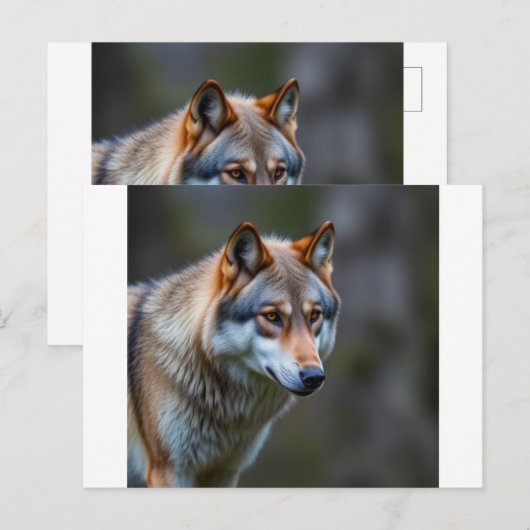 Uitnodiging & Aankondiging  (Voorkant / Achterkant)