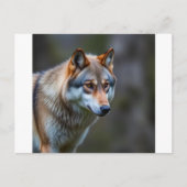 Uitnodiging & Aankondiging  (Voorkant)