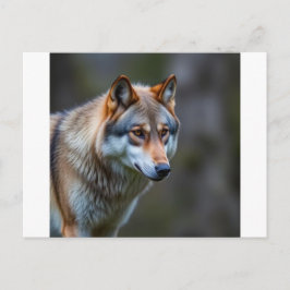 Uitnodiging & Aankondiging 