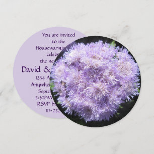 Uitnodiging - Ageratum