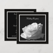 Uitnodiging Alleen Bruiloftsreceptie Witte Roos (Voorkant / Achterkant)