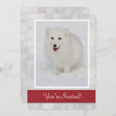 Uitnodiging Arctic Fox Winter Party (Voorkant / Achterkant)