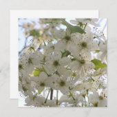 Uitnodiging - Blooming Bradford Pear (Voorkant / Achterkant)