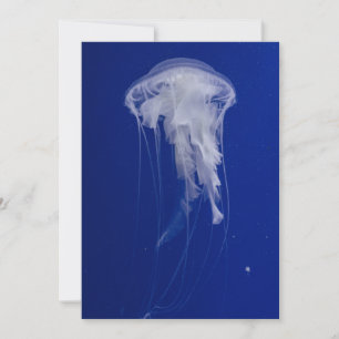 Uitnodiging Briefkaart 5 x 7 inch