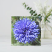 Uitnodiging - Button van Cornflower Blue Bachelor (Staand voorkant)
