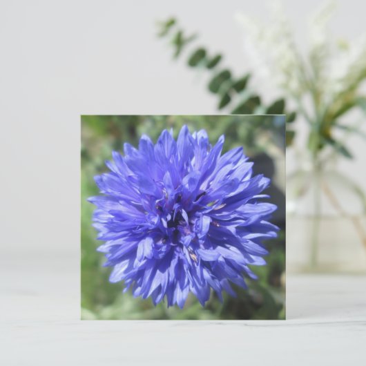Uitnodiging - Button van Cornflower Blue Bachelor (Staand voorkant)