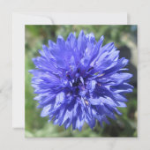 Uitnodiging - Button van Cornflower Blue Bachelor (Voorkant)