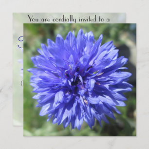Uitnodiging - Button van Cornflower Blue Bachelor