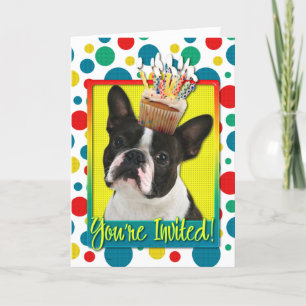 Uitnodiging Cupcake - Boston Terrier