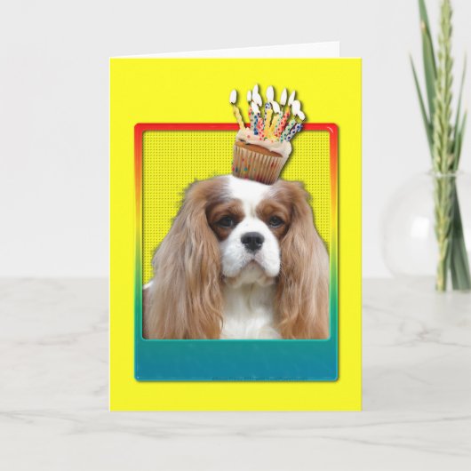 Uitnodiging Cupcake - Cavalier - Blenheim (Voorkant)