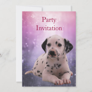 Uitnodiging Dalmation in het Park