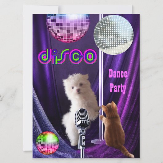 Uitnodiging Disco Feest Hond Kat Maltezer Puppy (Voorkant)