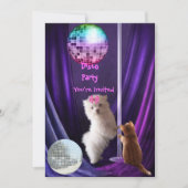 Uitnodiging Disco Feest Hond Kat Maltezer Puppy (Voorkant)