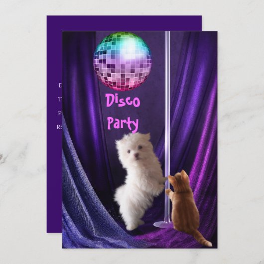 Uitnodiging Disco-partij Dog Cat Maltese Puppy (Voorkant / Achterkant)