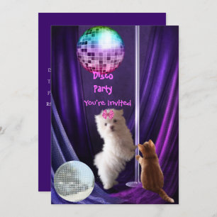 Uitnodiging Disco-partij Dog Cat Maltese Puppy