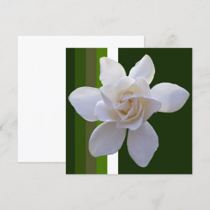 Uitnodiging - Gardenia op staven