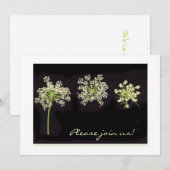 Uitnodiging koningin Anne's Lace (Voorkant / Achterkant)