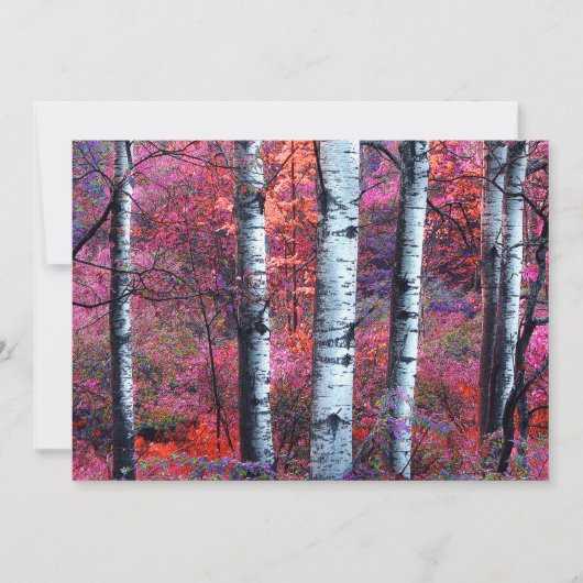 Uitnodiging Magical Forest Summer Solstice Party (Voorkant)