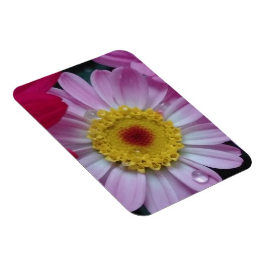 Uitnodiging Magneet (Rechterzijde)