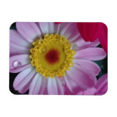 Uitnodiging Magneet (Horizontaal)