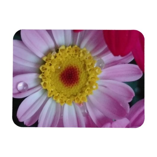 Uitnodiging Magneet (Horizontaal)