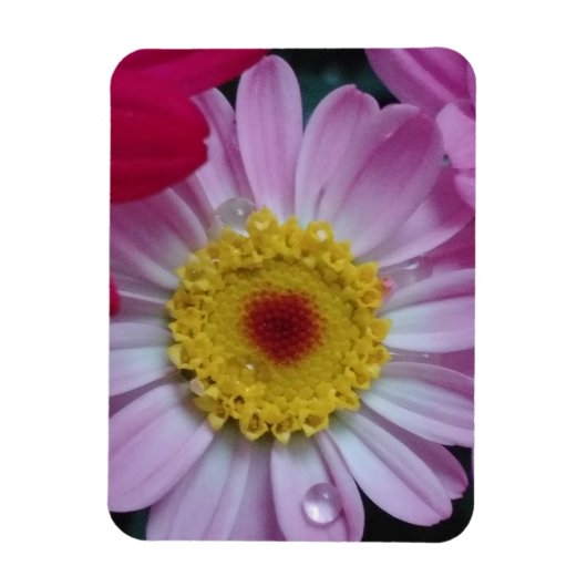 Uitnodiging Magneet (Verticaal)