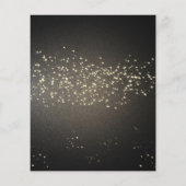 "Uitnodiging Mardi Gras Party Flyer (Achterkant)