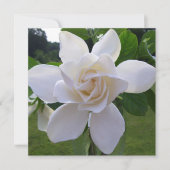 Uitnodiging - Natuurlijke Gorchanische Gardenia (Voorkant)