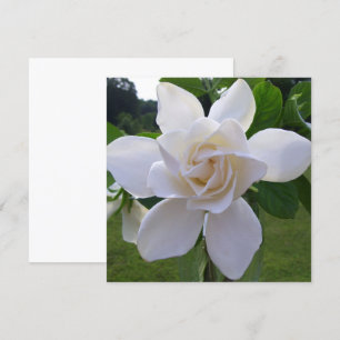 Uitnodiging - Natuurlijke Gorchanische Gardenia