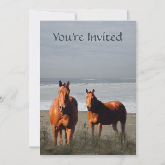 Uitnodiging om beach Horse uit te zenden (Voorkant)