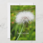 Uitnodiging Paardenbloem (Voorkant)