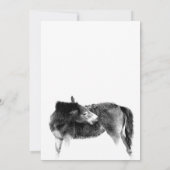 Uitnodiging tot Baby shower van paardenfokkerij (Achterkant)