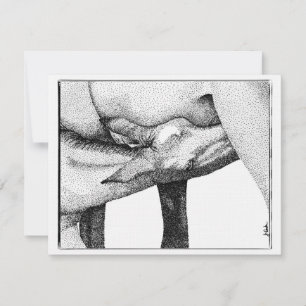 Uitnodiging tot Baby shower van paardenfokkerij