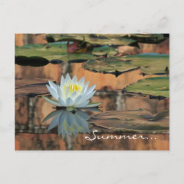 Uitnodiging tot Briefkaart van de zomerse partij