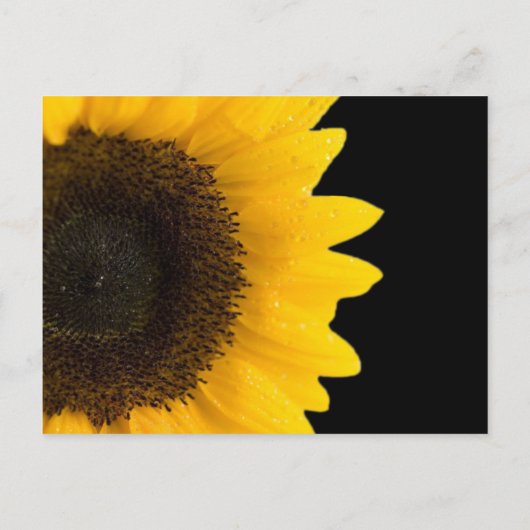 Uitnodiging tot Briefkaart voor zonnebloempjes (Achterkant)