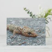 Uitnodiging tot hagedis (Staand voorkant)