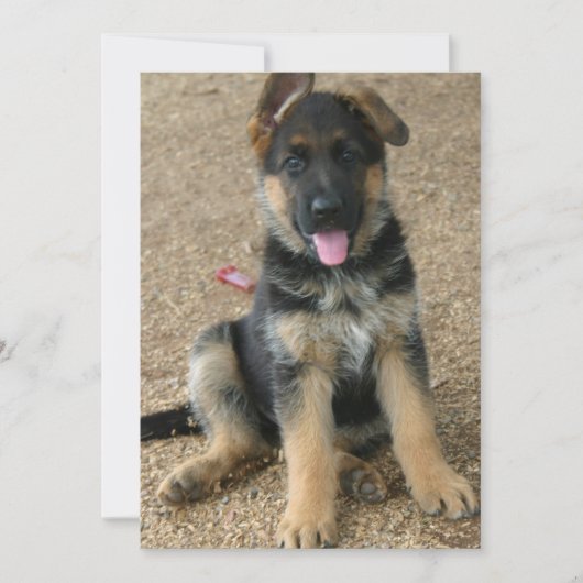 Uitnodiging tot herdenking van Shepherd Puppy (Voorkant)